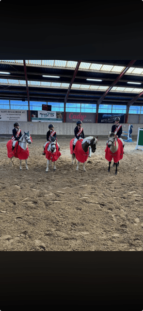 Distriktsmestre Hold spring 2025 